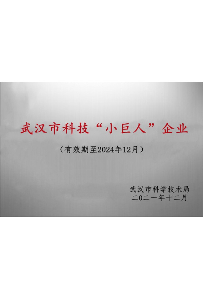 武漢市科技“小巨人”企業